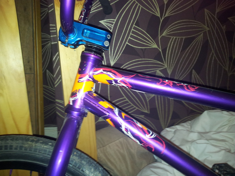 dan lacey frame