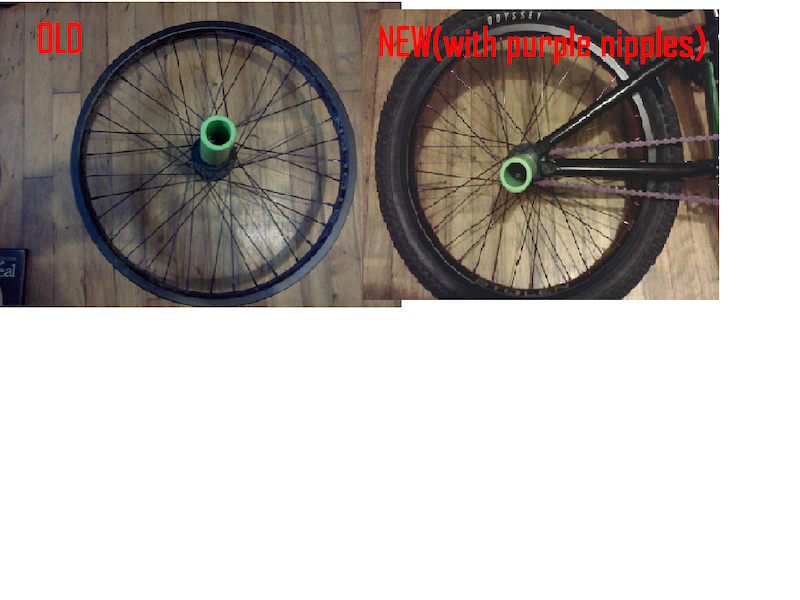 its kinda hard to see but this is my rear wheel before and after i put the new purple nipples on it. its looks so sick il have a better pic soon