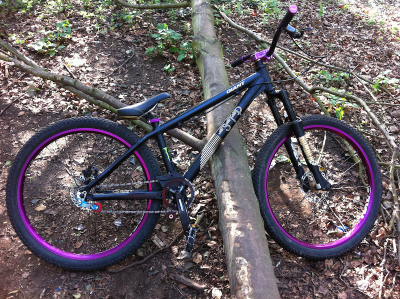 giant stp, halo sas wheels purle,dirt jumpers 1's, dmr single speed blue, dmr swarm stem purple,purple seat clamp, hayes stroker, superstar grips, sun bar!!!   WENT MISSING YESTERDAY INBOX ME IF YOU SEE ANYTHING ABOUT THEM!!!!THANKS