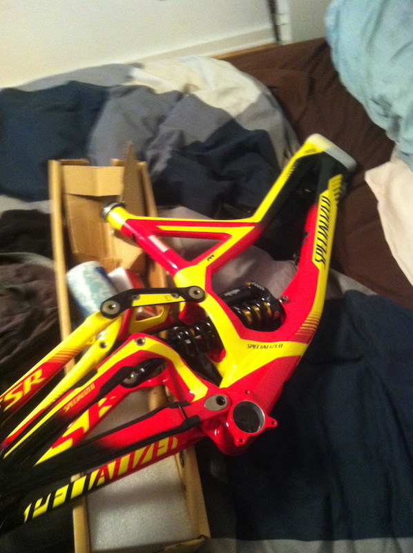 specialized 19 frame