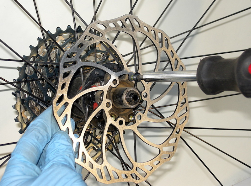 squeaky bike disc brakes