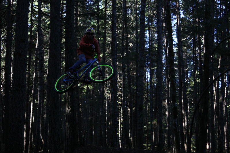 jumping through the trees
Layne Anvelt Photography.