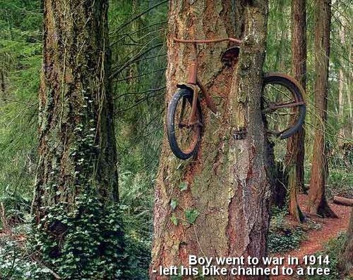 A young man left to fight in WWI and chained his bike to a tree. He never made it home and his family left the bike by the tree in his memory.