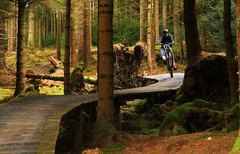 Good to get out in the woods of Whinlatter :D