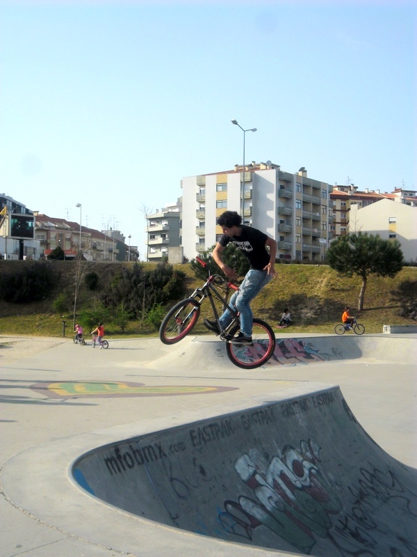 Double barspin
