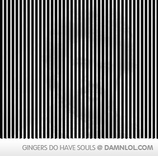 shake your head side to side ?