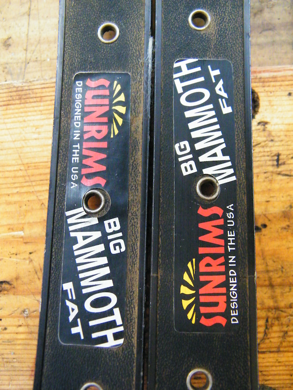 Sun Rims Big Mammoth Fat 26