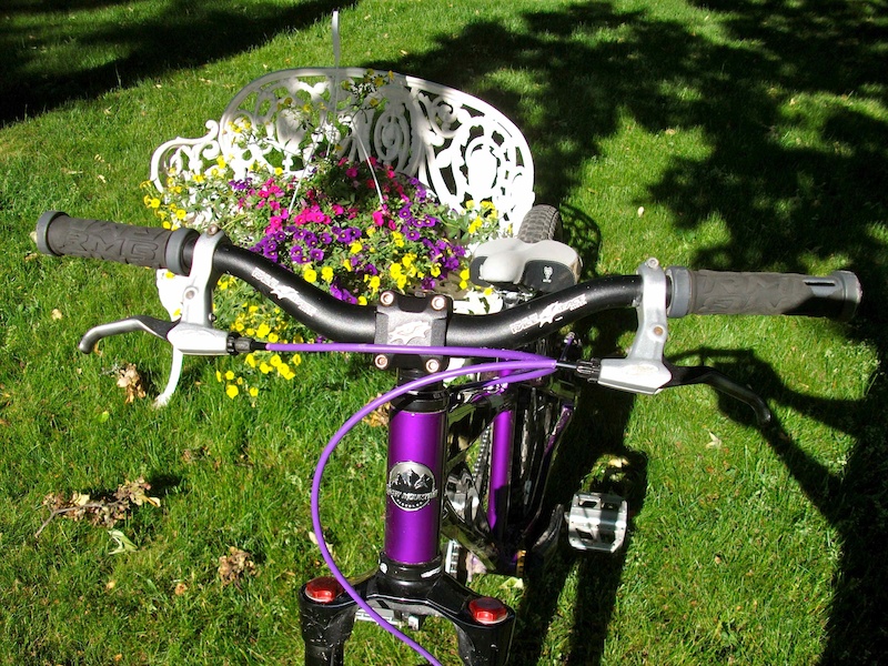2007 Rocky Mountain Flow DJ Large For Sale