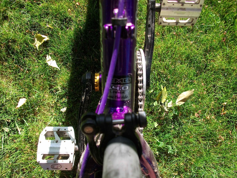2007 Rocky Mountain Flow DJ Large For Sale
