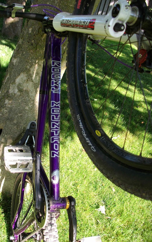 2007 Rocky Mountain Flow DJ Large For Sale