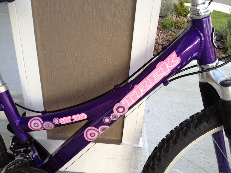 2007 Trek MT 220 For Sale