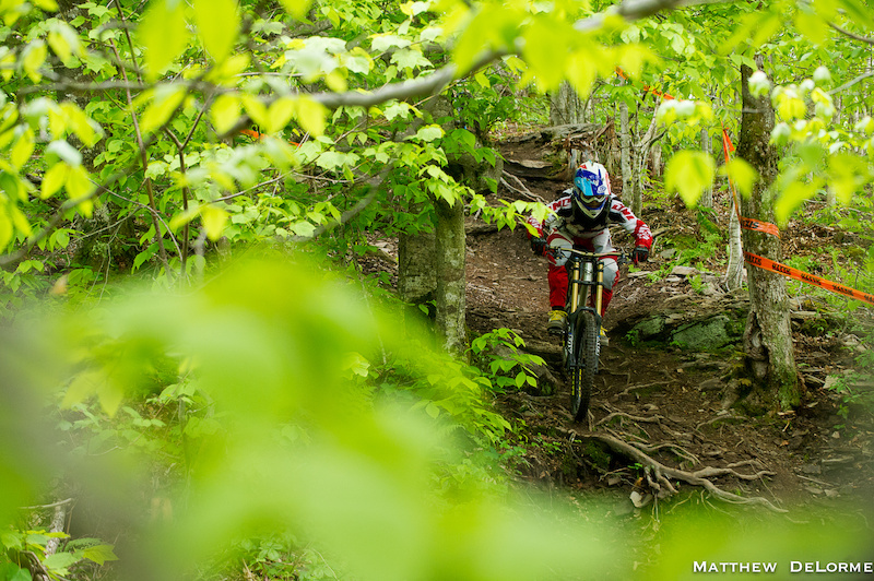 Matthew Delorme photo