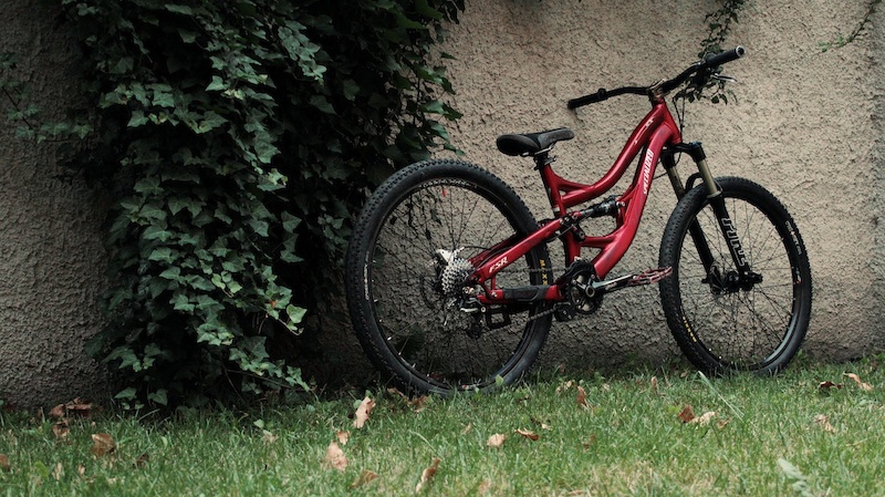 rose bikes the jester slopestyle mtb