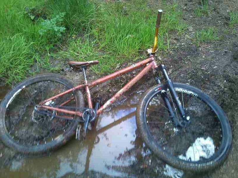 where grahams bike landed after it decided to go on its own after he came off