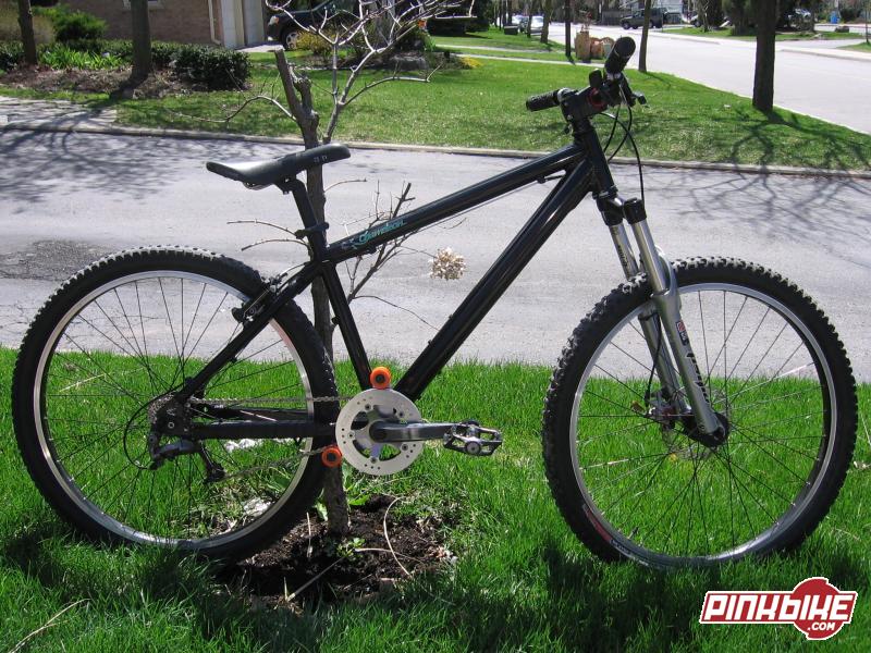 2003 Santa Cruz Chameleon For Sale