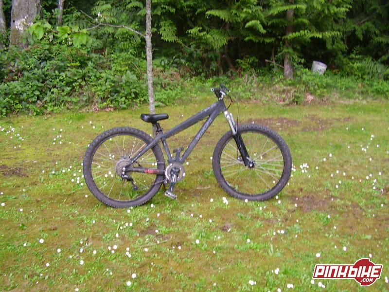 specialized p2 2004