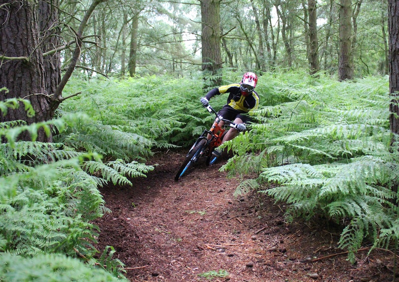 wrekin mtb trails