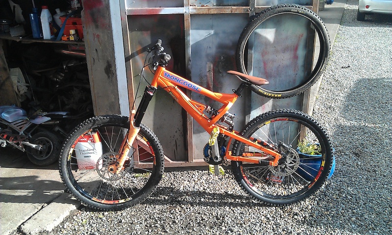 mongoose d40r price