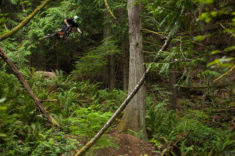 Movies for Your Monday - Pinkbike