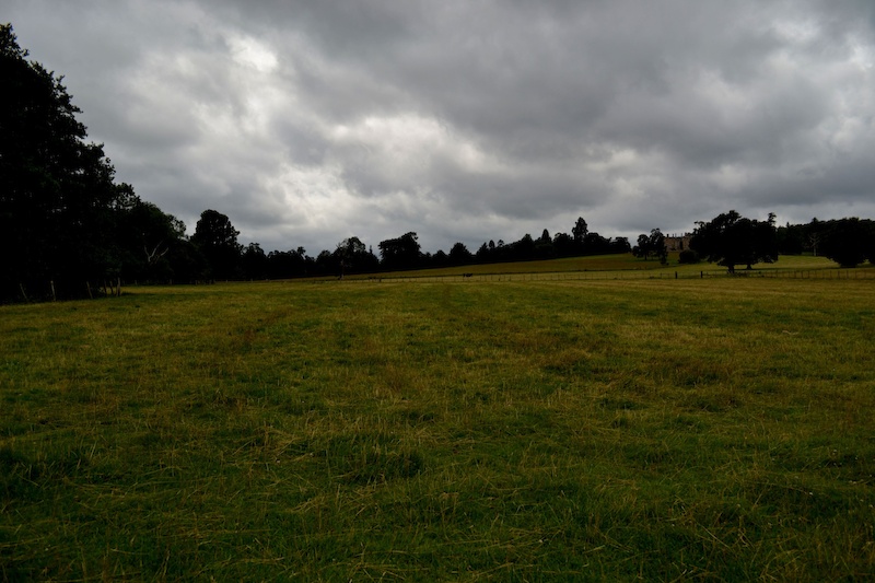 Brooding Skys