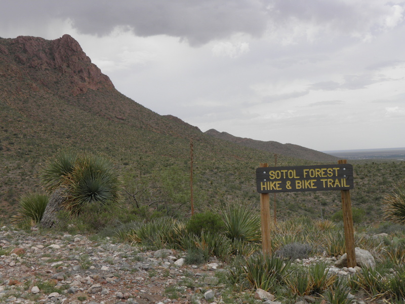 Sotol Forest Multi Trail El Paso, Texas Trailforks