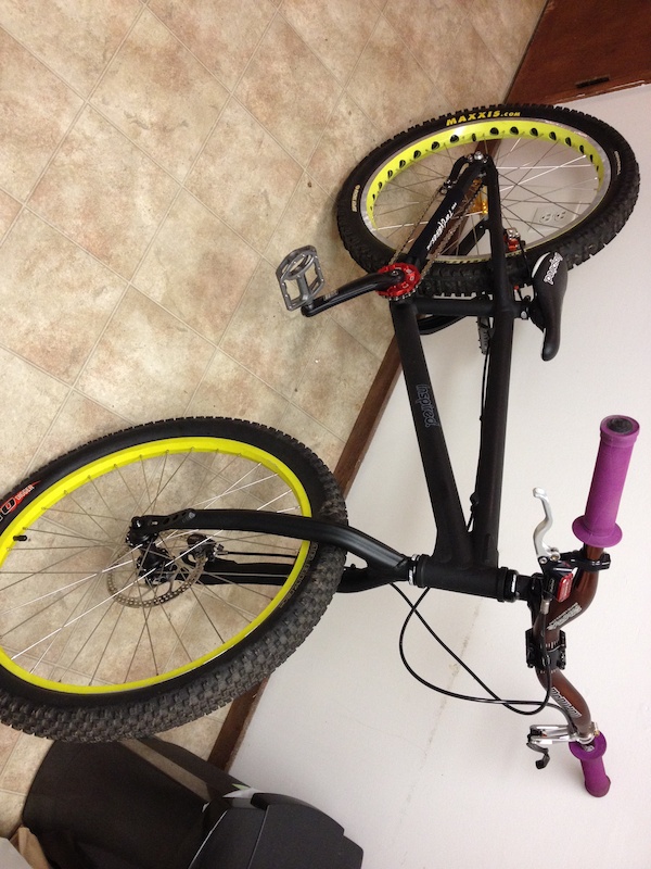 inspired fourplay frame