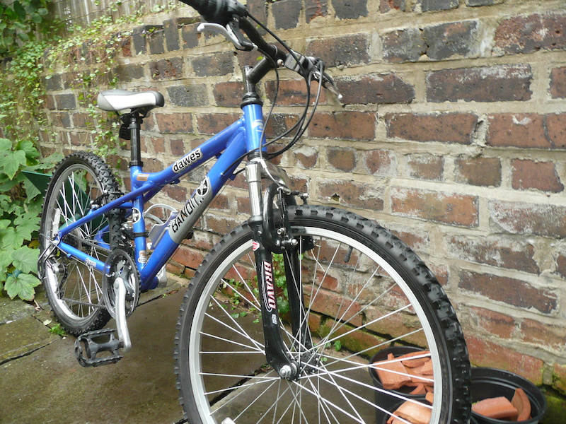 Dawes deals bandit bike