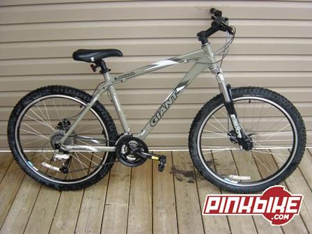2006 Giant Iguana For Sale