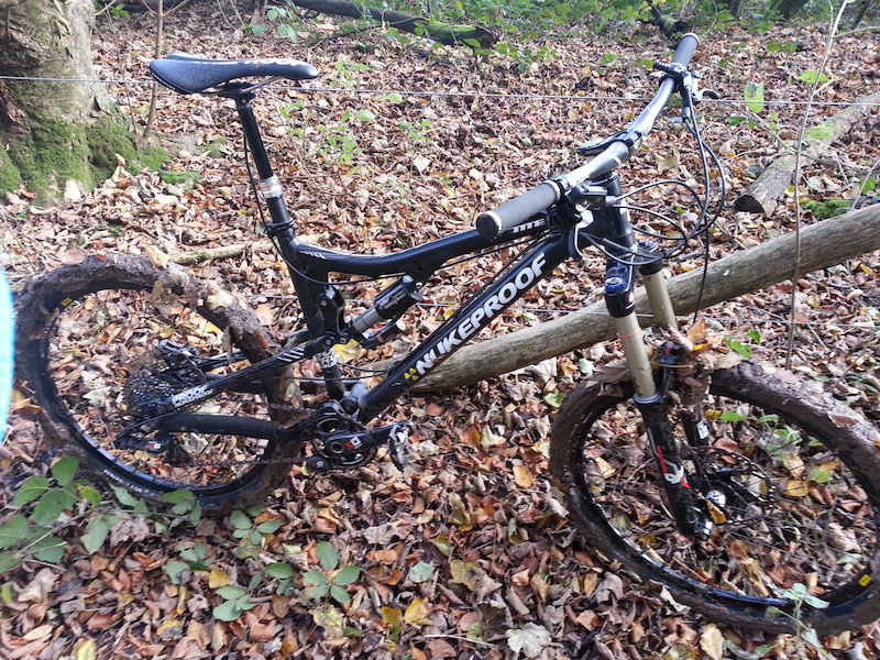 friston forest mtb