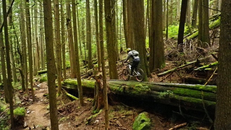 Rob took this pic of me on Dales with a point n shoot camera.......That log gets nasty at the end! Diggin the green,luvin the dirt!