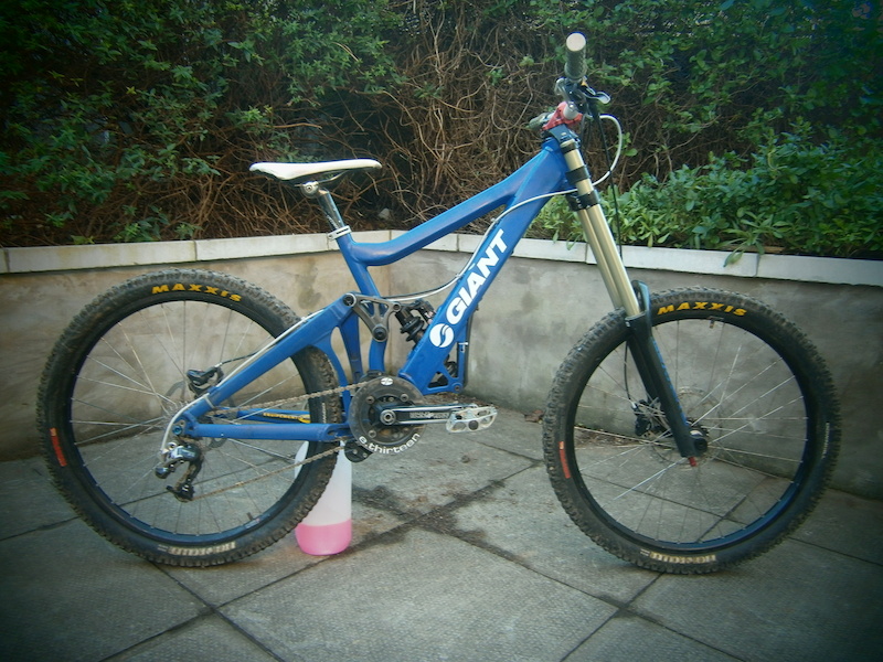 2008 giant glory