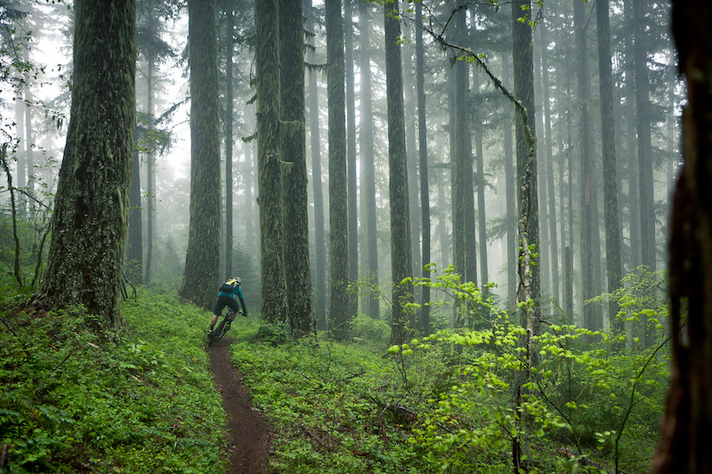 Pacific Northwest by yeticycles Pinkbike