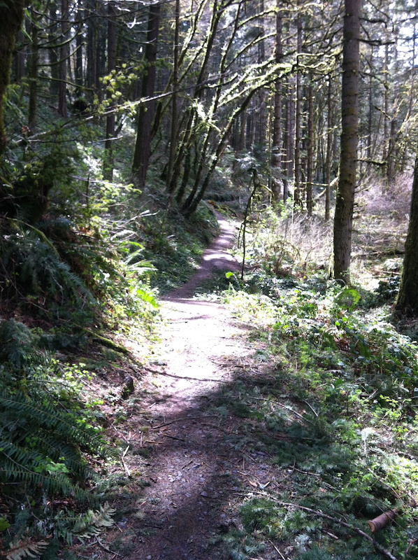 ridgeline mountain bike trail