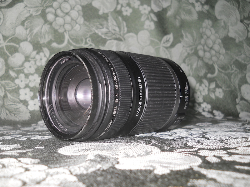 Canon EF-S 55-250mm f/4 IS telephoto lens with UV lens.