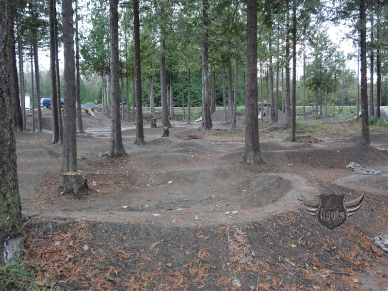 Lots of lines in this pumptrack