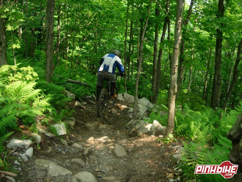 Berminator Mountain Biking Trail Bromont, Quebec