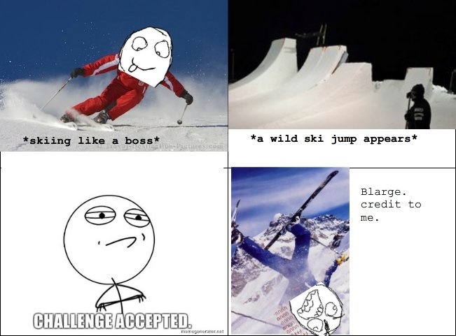 Funny meme of skiing!