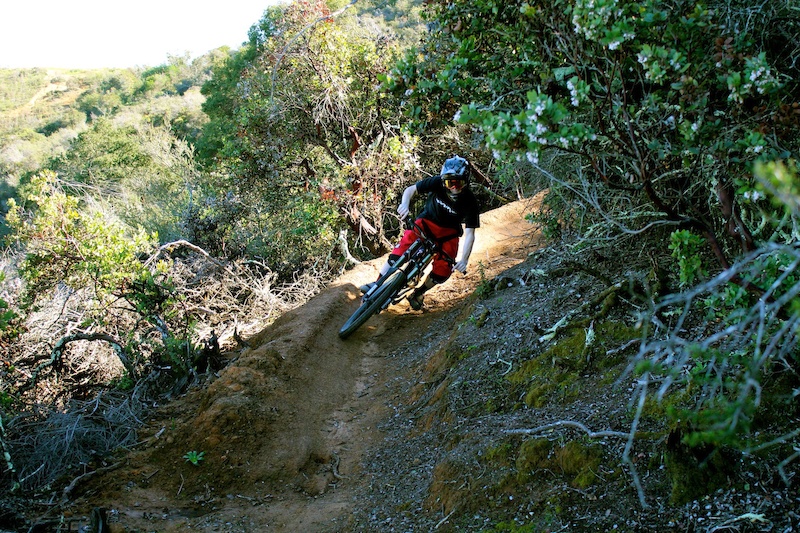Utter Delight Mountain Biking Trail Belmont, California