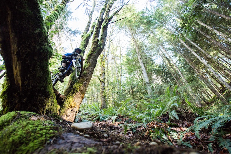 KGB Mountain Biking Trail - Fall City, Washington