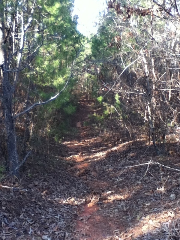 Any ideas please give me ideas on cool features I vod put in to make this trail freaking awsome!