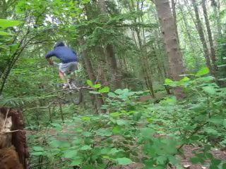 15 footer through the trees
