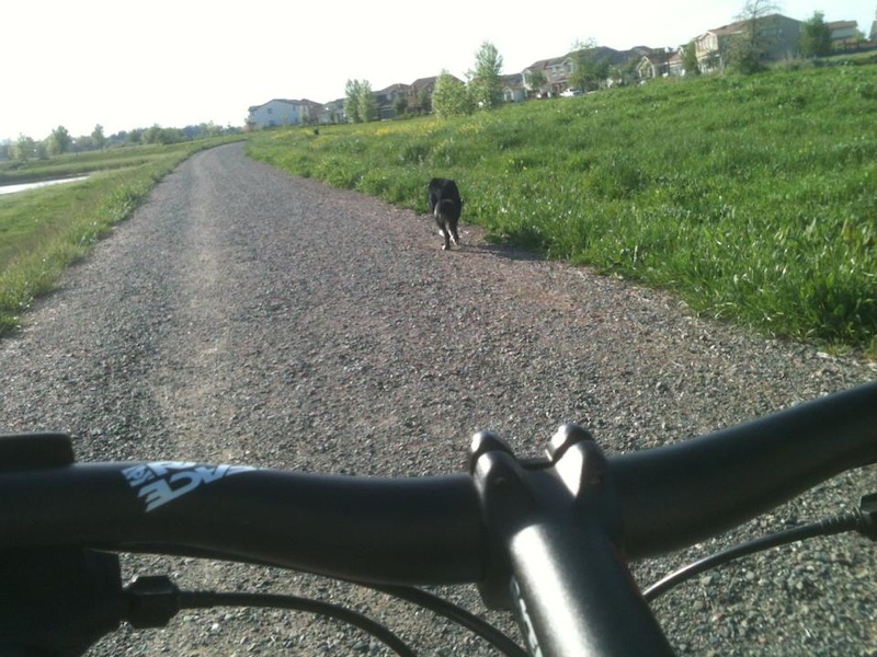 Riding my 29er with my dog