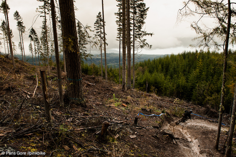 none at Dry Hill in Port Angeles, Washington, United States photo by