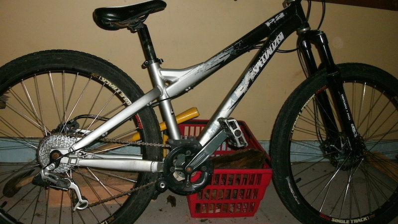 2006 specialized p2