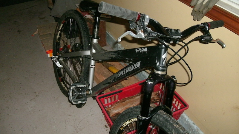 2006 specialized p2