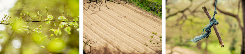 Neil Donoghue giving the new Santa Cruz Bronson C 650B a thrashing in the woods - Laurence CE - www.laurence-ce.com