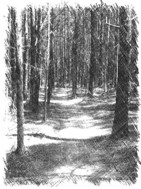 Epic charcoal sketch of a super easy but still fun trail