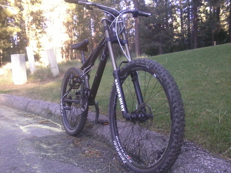 dual crown hardtail