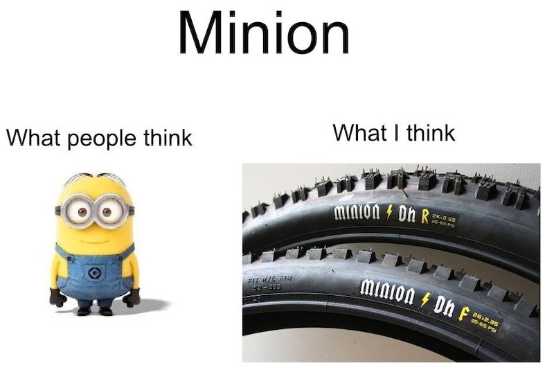 Minion. What I think.