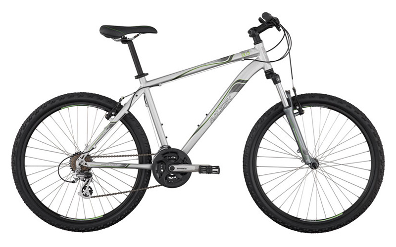 2011 Raleigh Talus 3.0 For Sale